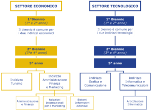 Articolazione Corsi